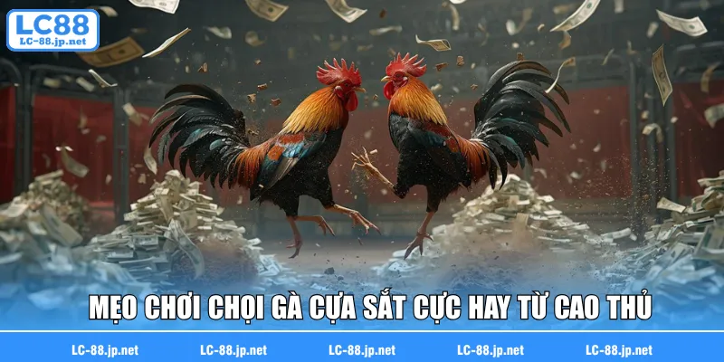Mẹo chơi chọi gà cựa sắt cực hay từ cao thủ